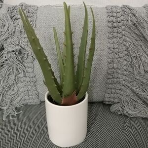 Aloe Plant Faux Green Succulent Potted Plant White Ceramic Planter Home Decor